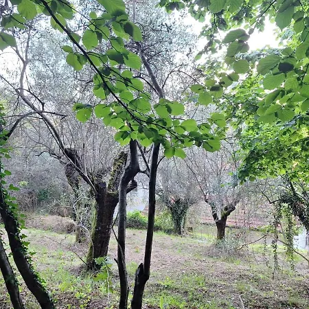 Casa Padronale Anima 7 Vakantiehuis Ameglia