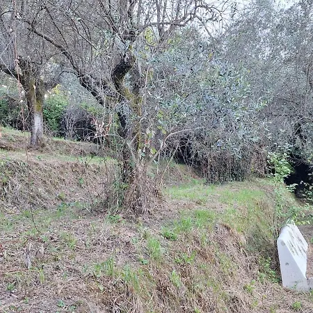 Casa Padronale Anima 7 * Ameglia