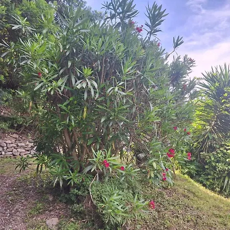 Casa Padronale Anima 7 * Ameglia