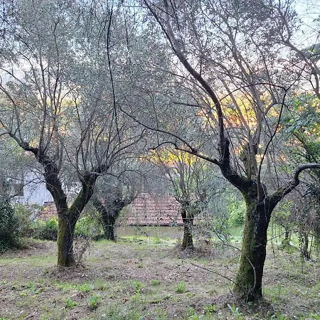 Casa Padronale Anima 7 *